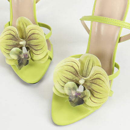 swsd0039-green-5-36