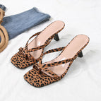Leopard / 5